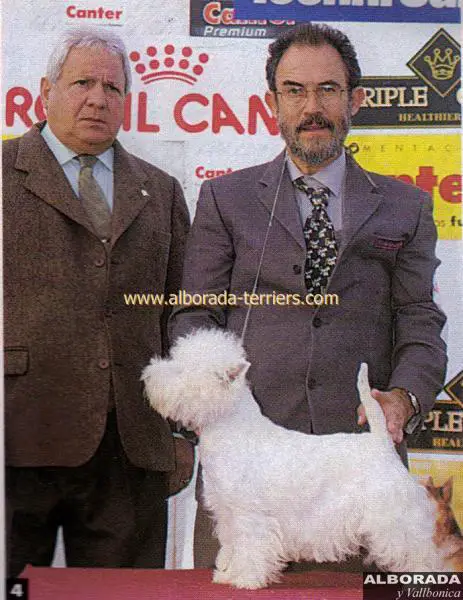 Alborada Magic Love