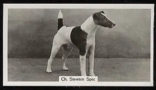 Stewton Spec
