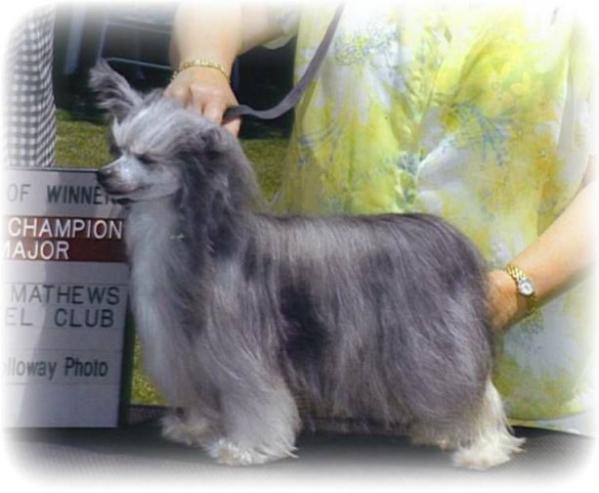 Kalon's Dreamstar Of Azuryn
