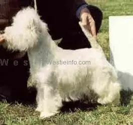 Alborada Gran Señor