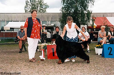 Rivermist Square Dancer