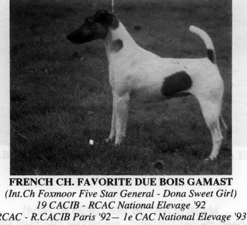 Favorite du Bois Gamast