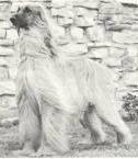 Sasha of Scheherezade [1964]