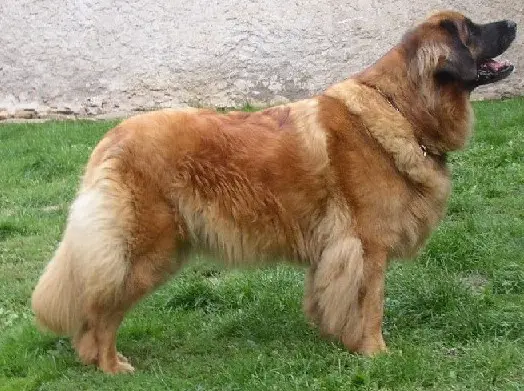 Audrey Zaricke udoli