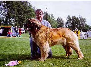 Sjo Bjornens Koh-i-Noor