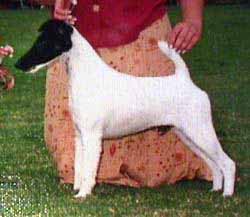 Aimhi Type Cast