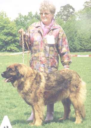 Indra v. Welland