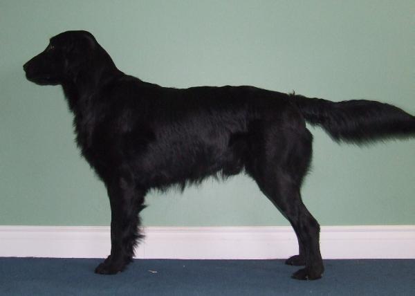 Wyndham's Lord Lochlan
