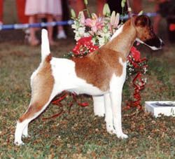 Leicka V.D. Bismaeckquelle