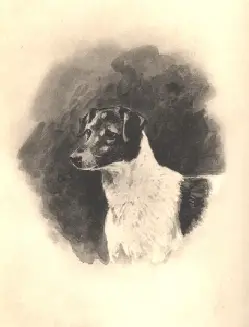 Grove Nettle (Hon. TW Fitzwilliam's) Grove Tartar x Sting