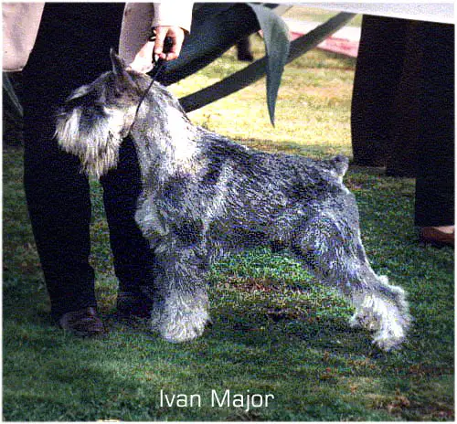 Ivan Mazhor