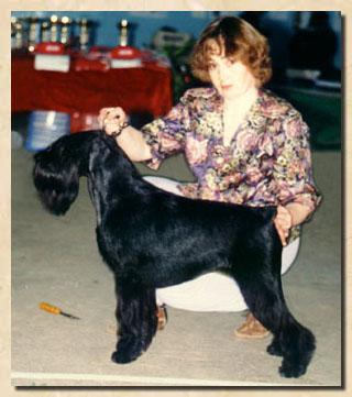 Ursa z Hofjaru