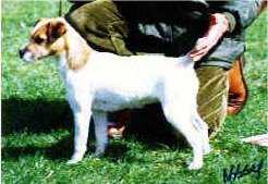 Howlbeck Tinker Tailer