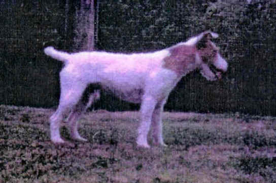 Sayner's Digger