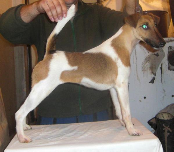 Inspira Tuskulum