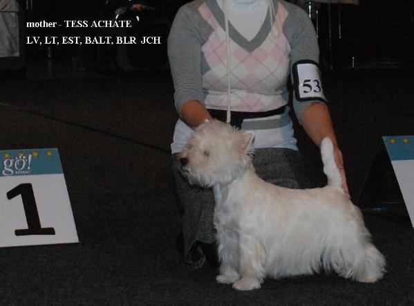 Tess Achates
