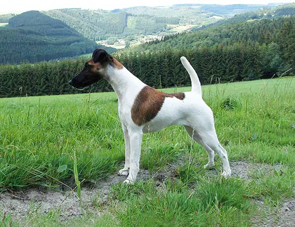 Be-Be von der Bismarckquelle