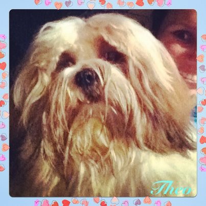 Chatong´S Theodor