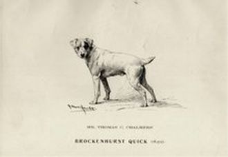 Brokenhurst (Brockenhurst) Quick