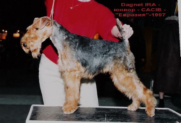 Ira Dagnet
