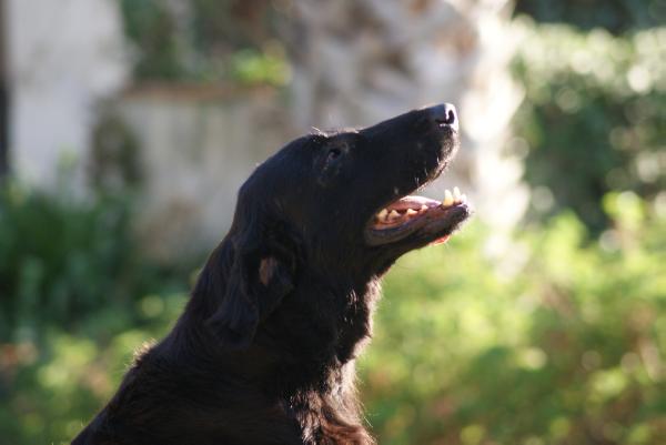 Graceful Kind of Lady Flat da Quinta da Bruma