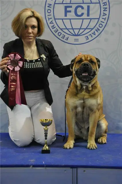 Fortuna Gold Best Show For Lunnay Sonata