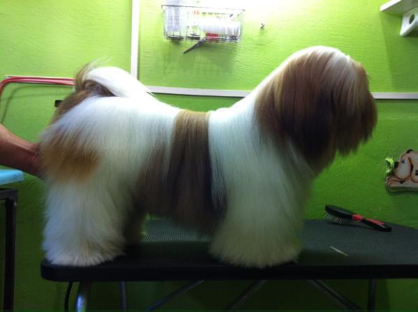 Aksnor de Lucca Barney