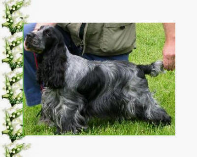 Liljenthal's Abbegail