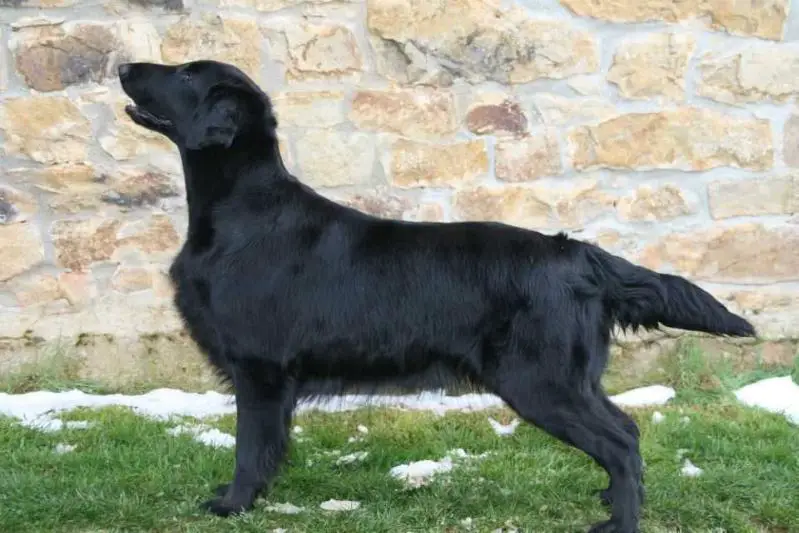 Talf Para ti de la Corraliza