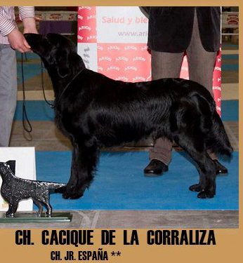 Cacique de la Corraliza
