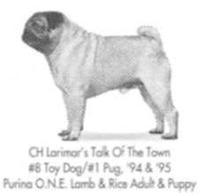 Larimar's Talk of the Town
