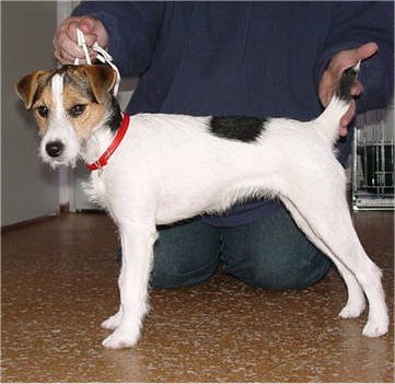 Yordana of Lovealoch