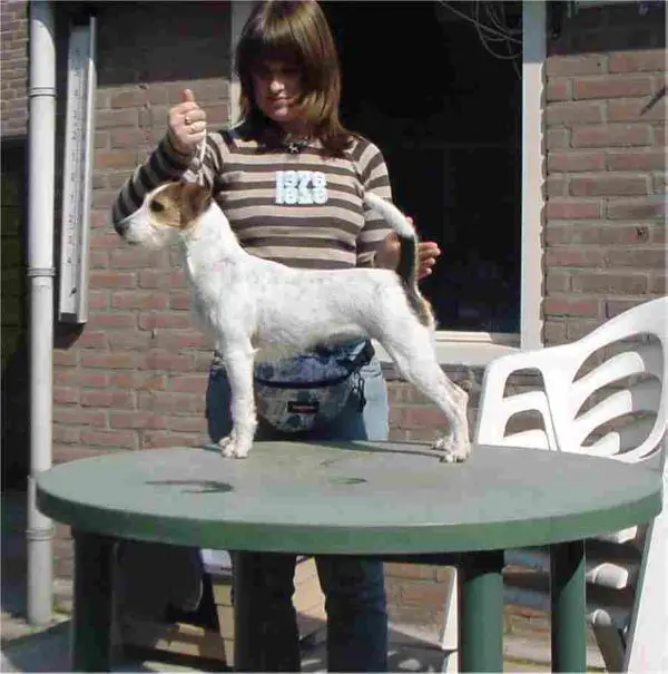Lady Luca from Byoux Home