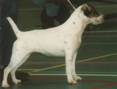 Devons Wood's Chana