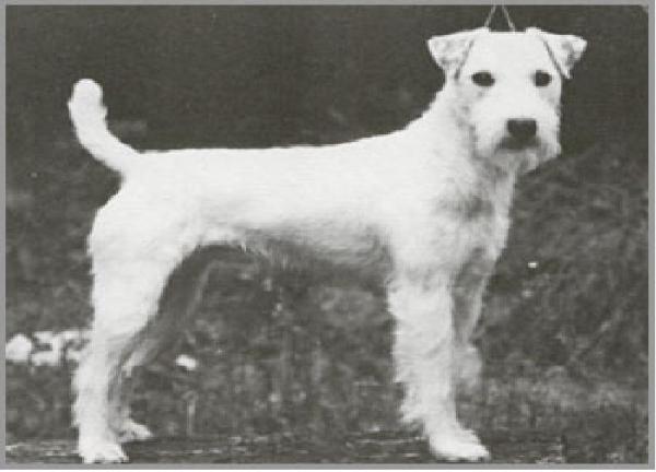 Ardencote Trueman