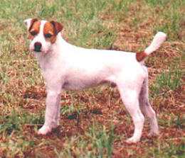Fox Valley Rangler