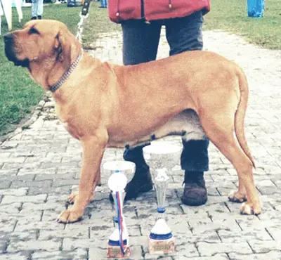 Caila do Quizanga