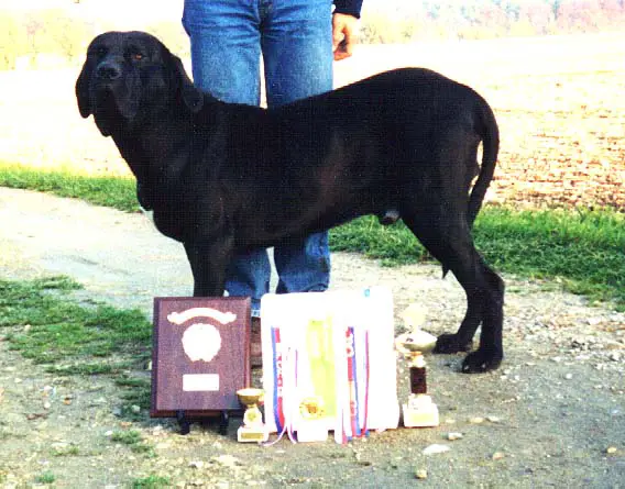 Karibe z Bodlaci