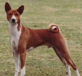 Baagna Erastus