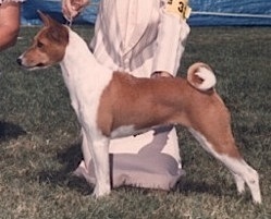Sukari's Mindiana Jones