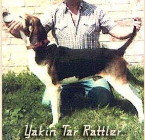 Yadkin Tar Rattler