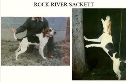 Rock River Sackett