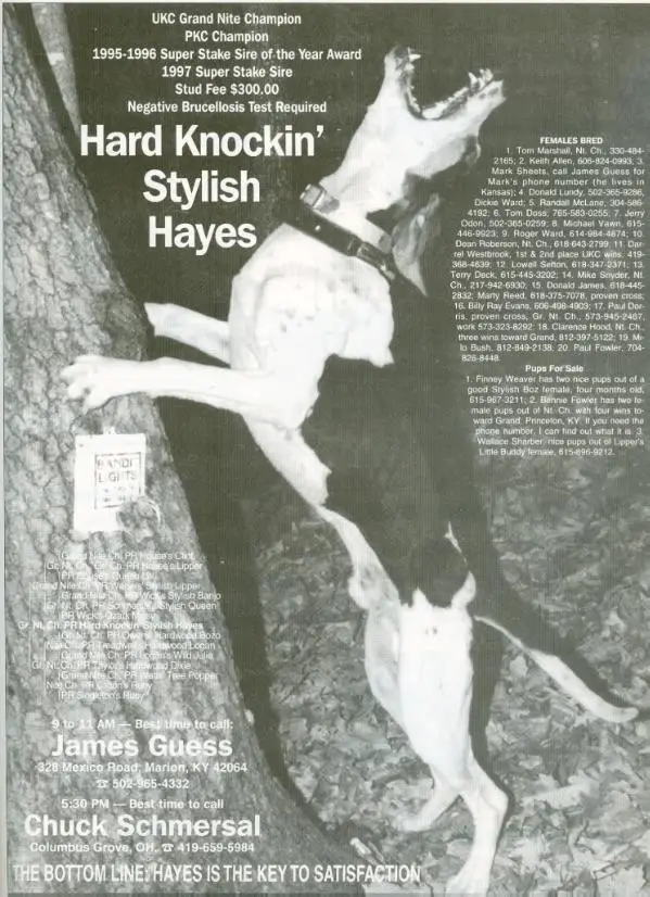 Hard Knockin Stylish Hayes