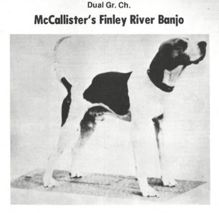 McCallister's Finley River Banjo