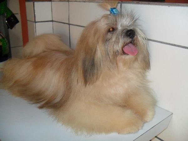 Argos Lilou Simon