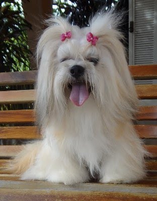 Vida Lilou Simon