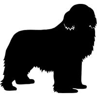 Mr. Sirius Black vom Kloster Buch
