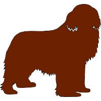 Kimba von der Ahne