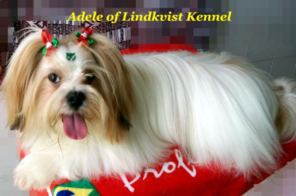 Adele of Lindkvist