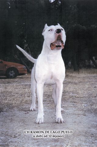 Ramon de Lago Puelo